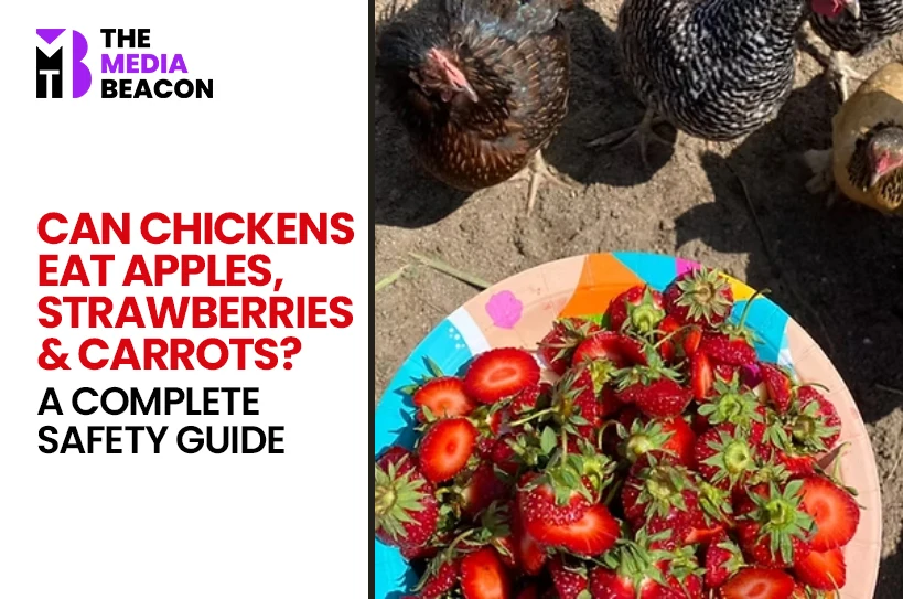 Can Chickens Eat Apples, Strawberries & Carrots? A Complete Safety Guide