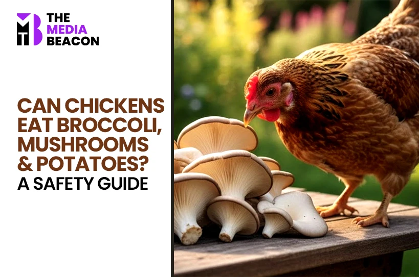 Can Chickens Eat Broccoli, Mushrooms & Potatoes? A Safety Guide
