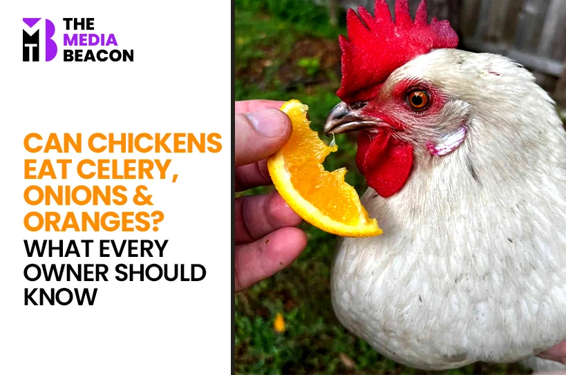 Can Chickens Eat Celery, Onions & Oranges? What Every Owner Should Know