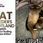 Cat Breeders Scotland