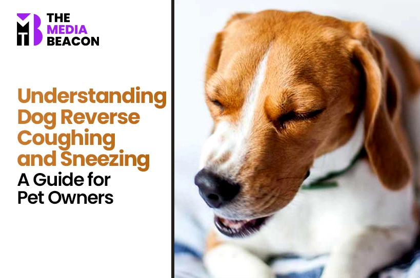 Understanding Dog Reverse Coughing and Sneezing: A Guide for Pet Owners